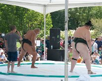 2016 - MortArboretumFrogs_0007