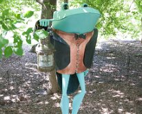 2016 - MortArboretumFrogs_0017