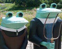 2016 - MortArboretumFrogs_0019