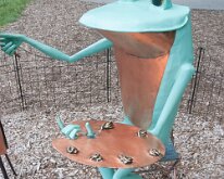 2016 - MortArboretumFrogs_0028