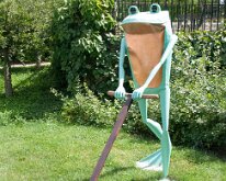 2016 - MortArboretumFrogs_0030