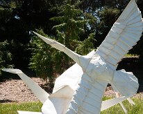 2017_MortonArboretum_Oragami_0017