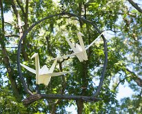 2017_MortonArboretum_Oragami_0032