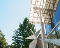 2017_MortonArboretum_Oragami_0038