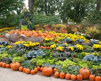 2019_MortonArb_FallScarecrowFestivle_0019