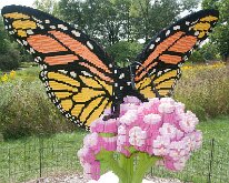 MortonArb_Legos_Butterfly-2