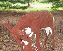 MortonArb_Legos_Deer
