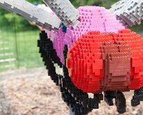 MortonArb_Legos_Dragonfly-2