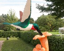 MortonArb_Legos_Hummingbird-1