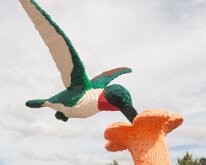 MortonArb_Legos_Hummingbird-3