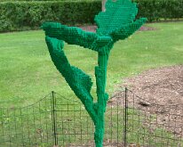 MortonArb_Legos_Seed