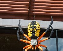 MortonArb_Legos_Spider-1