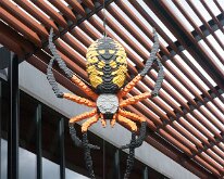 MortonArb_Legos_Spider-2