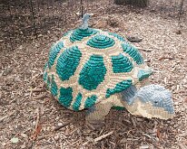 MortonArb_Legos_TortiseBird