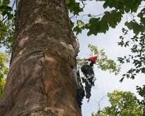 MortonArb_Legos_Woodpecker-1