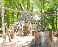 2019_MortonArbTrolls_House-2