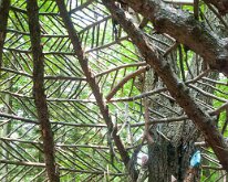 2019_MortonArbTrolls_House-3