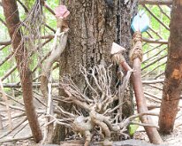 2019_MortonArbTrolls_House-5