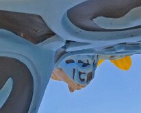 2022_Morton_EPHEMERA05