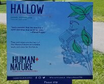 2022_Morton_HALLOW01