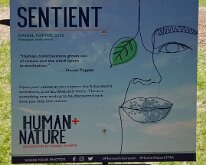 2022_Morton_SENTIENT01