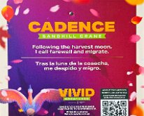CADENCE-01