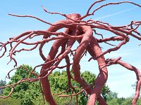 MortonRoots 2010 0002 : Morton Arboritum