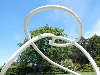 MortonRoots 2010 0004 : Morton Arboritum