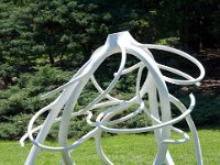 MortonRoots 2010 0005 : Morton Arboritum
