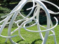 MortonRoots 2010 0006 : Morton Arboritum