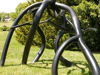 MortonRoots 2010 0007 : Morton Arboritum