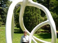 MortonRoots 2010 0010 : Morton Arboritum