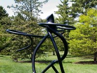 MortonRoots 2010 0016 : Morton Arboritum