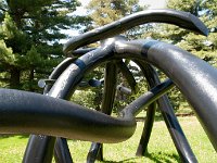 MortonRoots 2010 0018 : Morton Arboritum