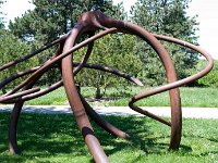 MortonRoots 2010 0021 : Morton Arboritum
