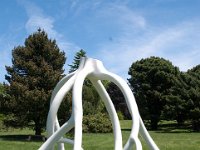 MortonRoots 2010 0023 : Morton Arboritum
