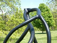 MortonRoots 2010 0033 : Morton Arboritum