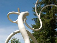 MortonRoots 2010 0037 : Morton Arboritum