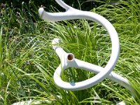 MortonRoots 2010 0042 : Morton Arboritum