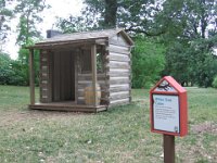 IMG 0920 : Morton Arboritum