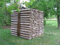 IMG 0923 : Morton Arboritum