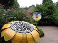 IMG 0929 : Morton Arboritum