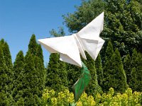 2017 MortonArboretum Oragami 0006 : Morton Arboritum
