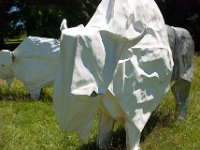 2017 MortonArboretum Oragami 0009 : Morton Arboritum