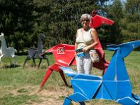 2017 MortonArboretum Oragami 0015 : Morton Arboritum