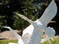 2017 MortonArboretum Oragami 0017 : Morton Arboritum