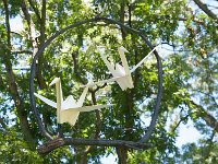 2017 MortonArboretum Oragami 0032 : Morton Arboritum