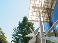 2017 MortonArboretum Oragami 0038 : Morton Arboritum
