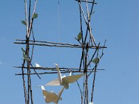 2017 MortonArboretum Oragami 0040 : Morton Arboritum