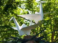 2017 MortonArboretum Oragami 0045 : Morton Arboritum